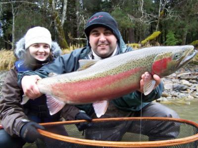 The photo of the week shows a beautiful wild male Steelhead posed by Rob Vodola for Valerie Toupin.  This was Valeries second Steelhead of the day landed on the Kalum River. In addition to this photo I did manage to capture the excitement on video.  To